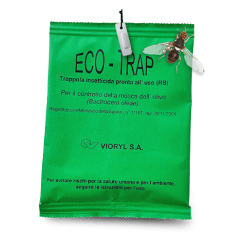 Foto di Eco-Trap (Mosca dell'olivo)