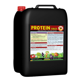 Protein Gold - Foto
