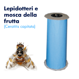foto 02