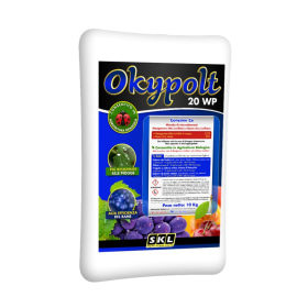 Foto Okypolt 20