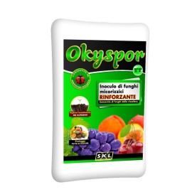 Foto Okyspor TT